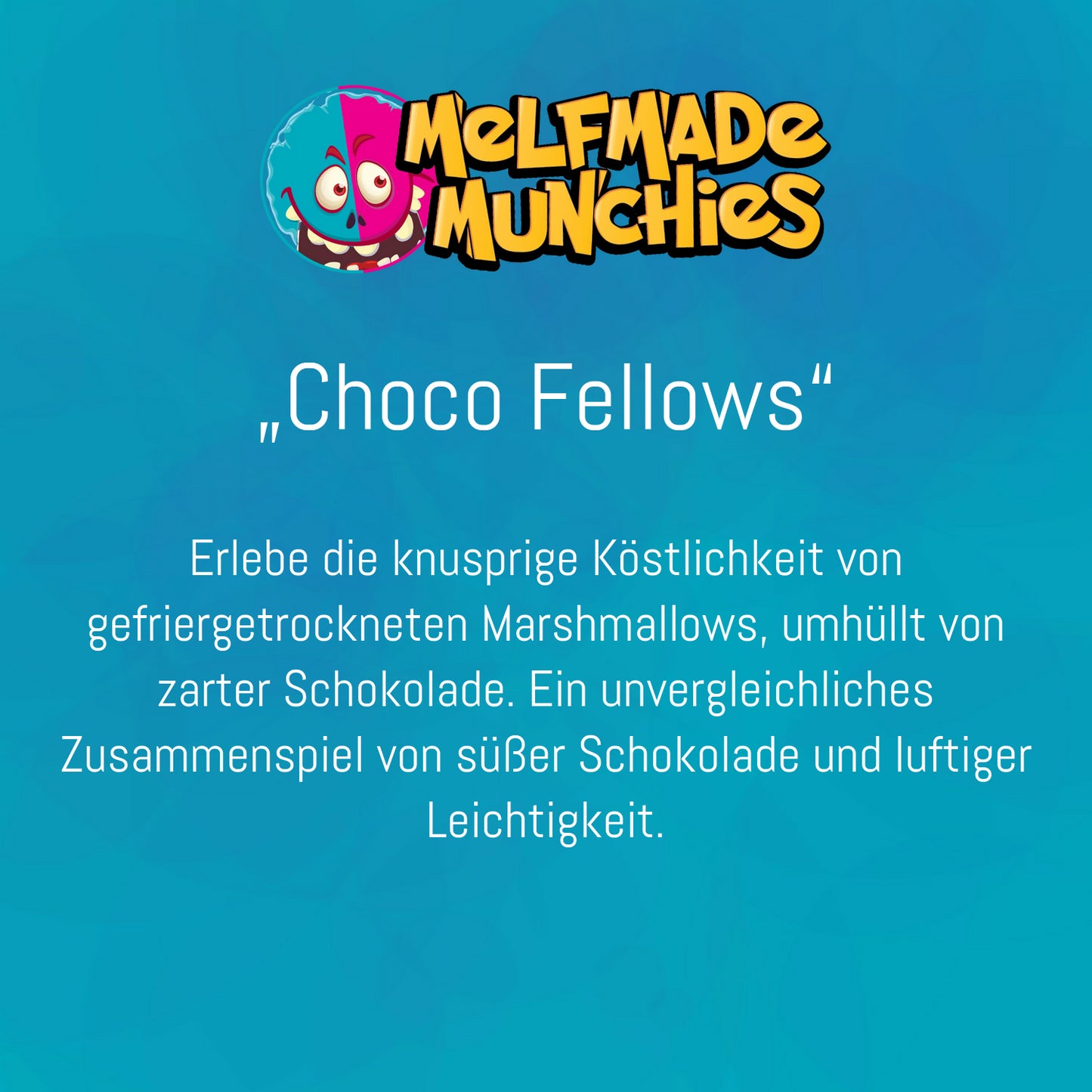 Choco Fellows