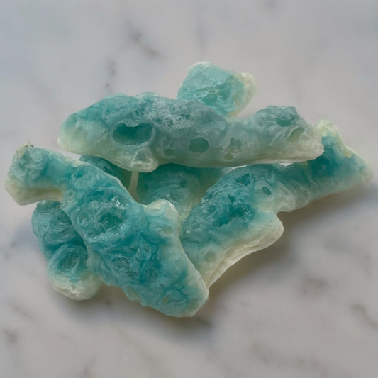 Fintastic Bites