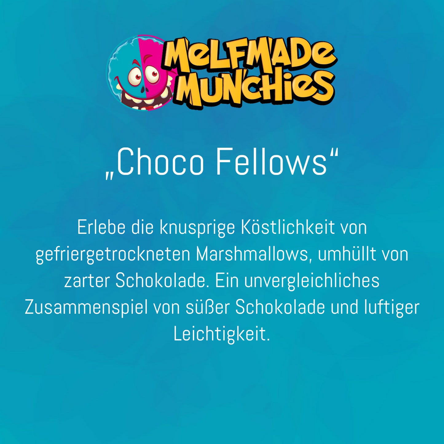 Choco Fellows