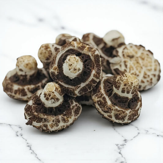 Shrooms Choc